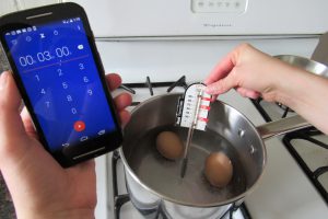 Paleo Diet Mayo Recipe