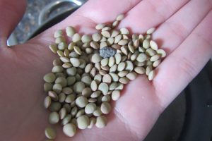 best-quinoa-salad-recipe-ever