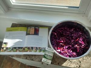 the-best-probiotic-supplement