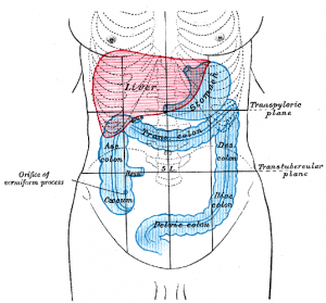 irritable-bowel-syndrome